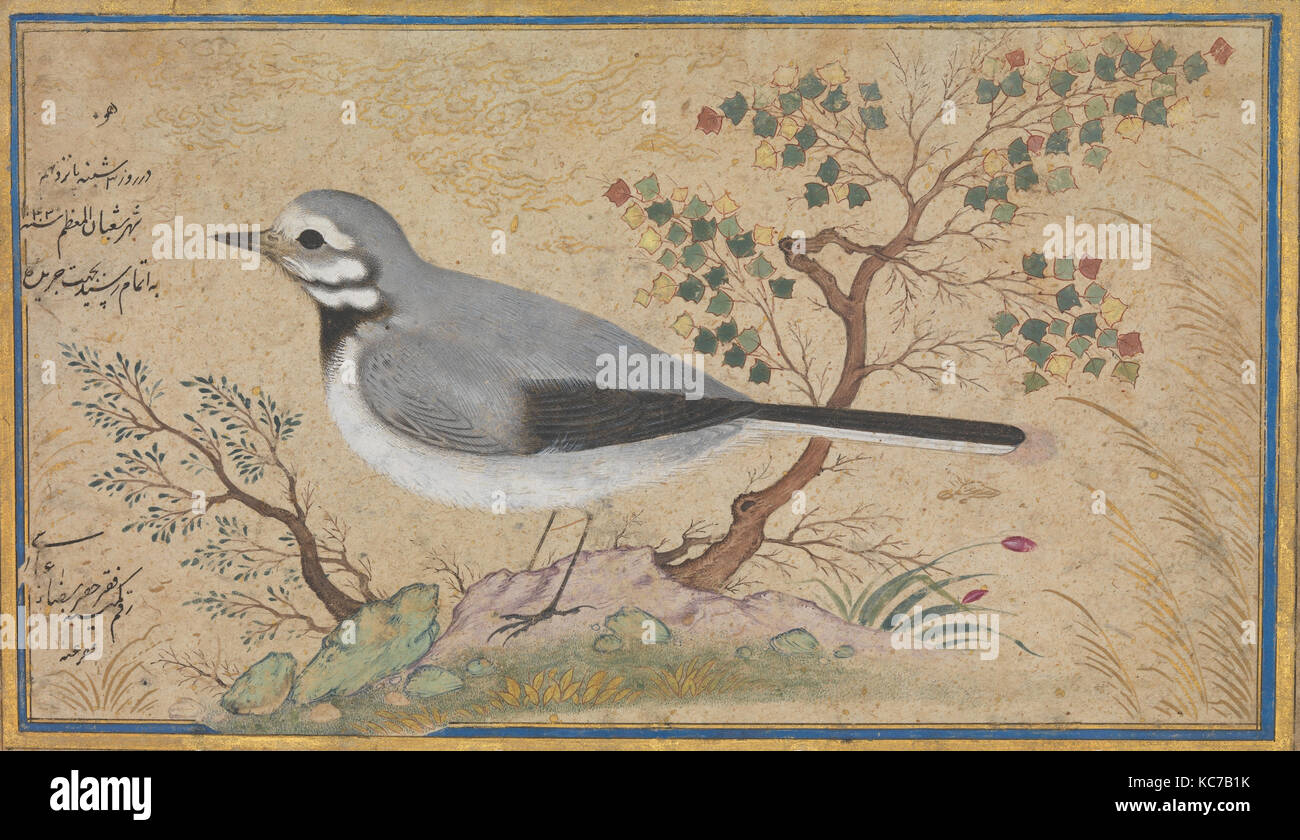 Study of a Bird, Painting by Riza-yi `Abbasi, dated A.H. 1043/A.D. 1634 Stock Photo